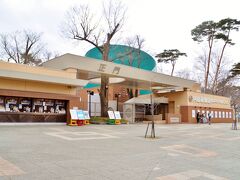 さて、今回やってきたのは円山動物園。
わーお、動物園に来るのって何年振りだろう…。