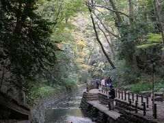 等々力渓谷　川沿いの散策路

矢沢川のせせらぎに樹林が広がりますが、紅葉はほとんどありません。
東京２３区唯一の渓谷として、東京都の名勝となっており、渓谷沿いに歩道が造られ、等々力駅付近から多摩川合流点付近までの約１Ｋｍを散策できるようになっています。
