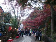 昼前に深大寺に到着～。思っていたより全然早く着きました！
駐車場に停めて、（1日500円）参道側に周ると…
おお！こんなににぎわってるんだ！
初めてなのでビックリ。