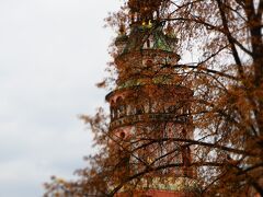 赤っぽいのが目にはいるCatsle Tower (Tower Museum)