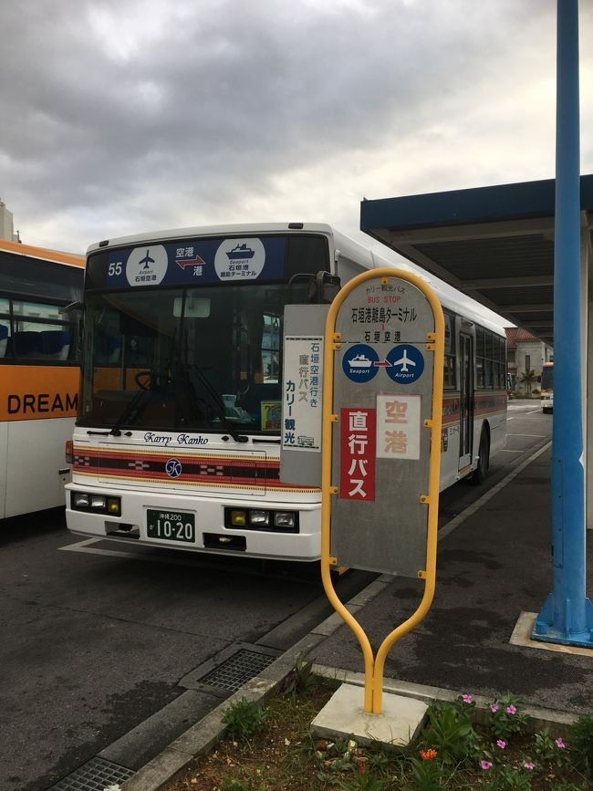 ↓↓↓<br />空港に戻ります。