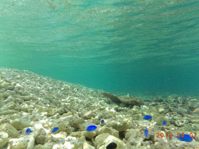 バラス島の海もホントキレイでした。<br /><br />二男撮影の水中写真。