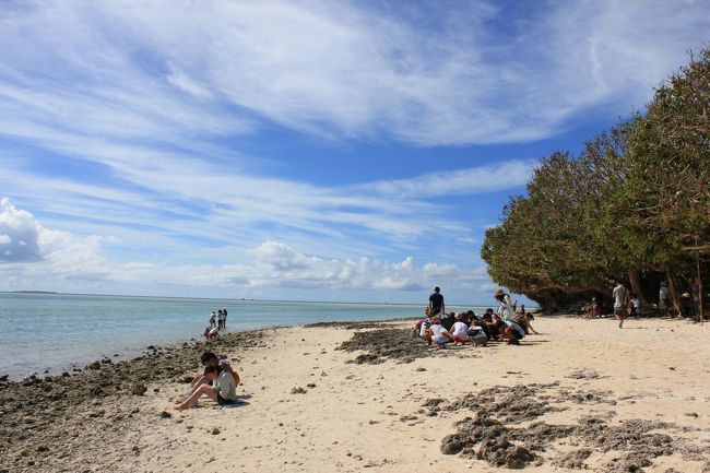 炎天下の中、座って何をしているかというと・・・。<br /><br />星の砂を探しているんです。手のひらを砂に押し付けてその中から探します。
