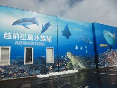 バスで、越前松島水族館へ。

録音しておけば良かったのだけど、このバスが、なんともいえずレトロで！
外観ではなく、案内の声が。
その昔、動かない画面で商店を紹介するローカルＣＭがあった。
心斎橋筋だより…だったか？
べっちん屋？？、とか
あの声にそっくりだったのだ。
高くて、なんとも言えない、特徴的な声。

ああ、録音したかった。