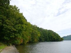 なおこの遊歩道、森の中がメインで湖が常に眺められるコースではない。どちらかというと森林浴を楽しむような感覚か。