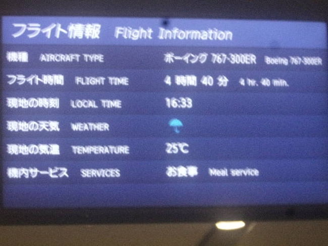 搭乗便の詳細画面。<br /><br />