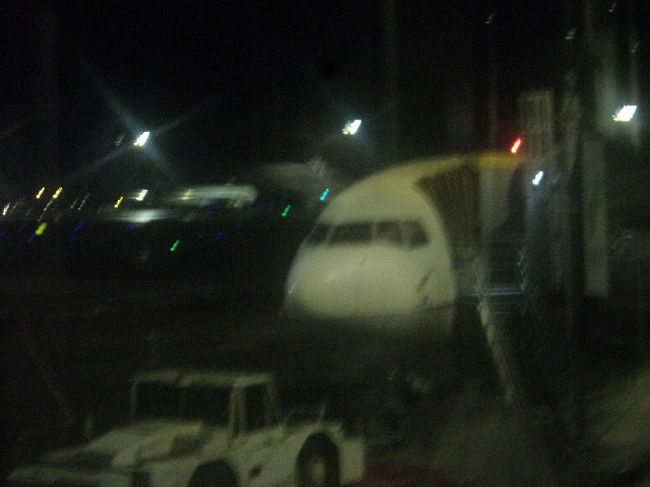 搭乗機はこちら。<br /><br />(NH811/JA625A/B767-300ER)