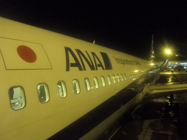 日の丸が目に沁みる香港の夜…。<br /><br />いよいよ明日は本当の意味での帰国です。