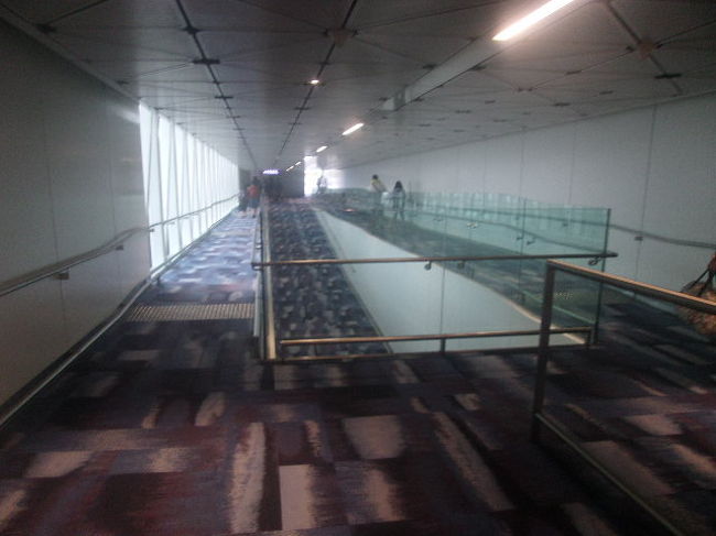 なんか、ゲートをくぐってからも結構歩かされました。