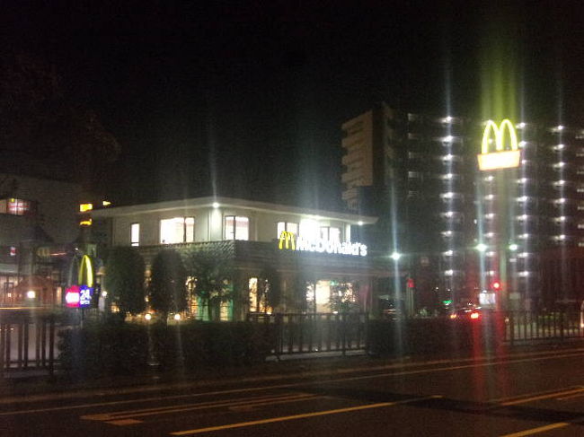 空港バスを栗林公園前で下車。<br /><br />ここが本日のお宿（？）です。