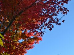 途中、『きみまろ茶屋』の紅葉が素晴らしかったで賞☆