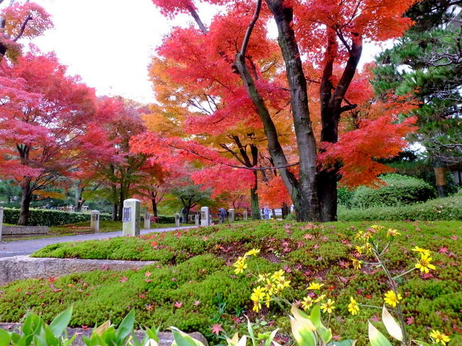 智積院会館近く