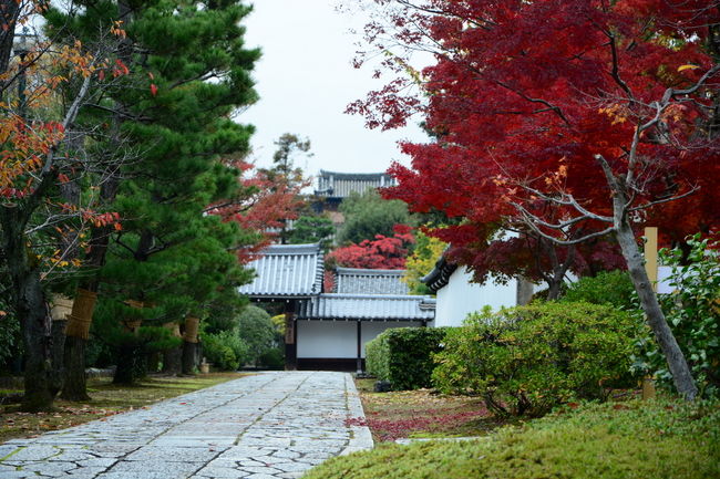 正玄関へ向かう通路