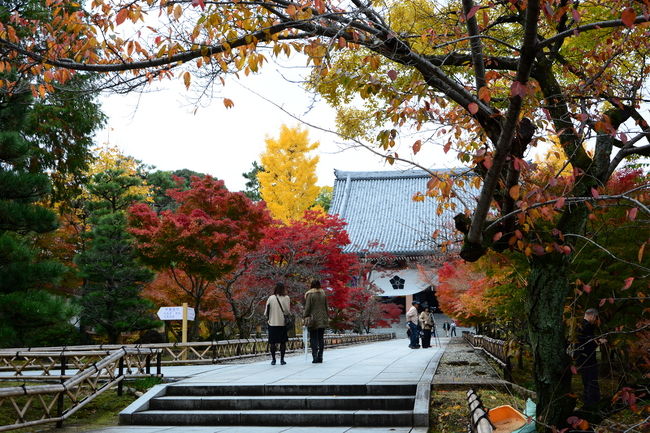 ではぶらりと参りましょう