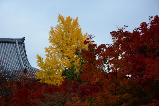 19日の撮影　天気が良ければ最高の風景だったと思われます