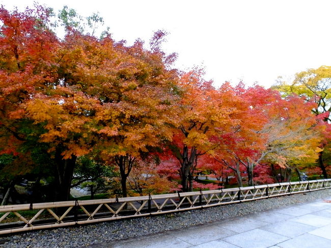 振り返って一枚