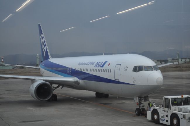 　ANA羽田行きです。