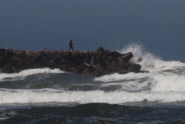 平井海岸でバードウォッチング 2015 3 鹿島 茨城県 の旅行記 ブログ By 潮来メジロさん フォートラベル