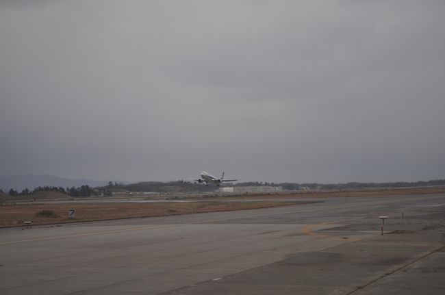 　先発のＡＮＡ機材です。