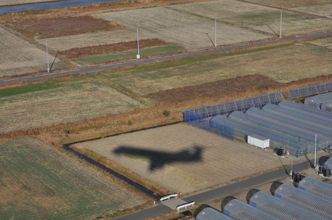 　アップで。（笑）