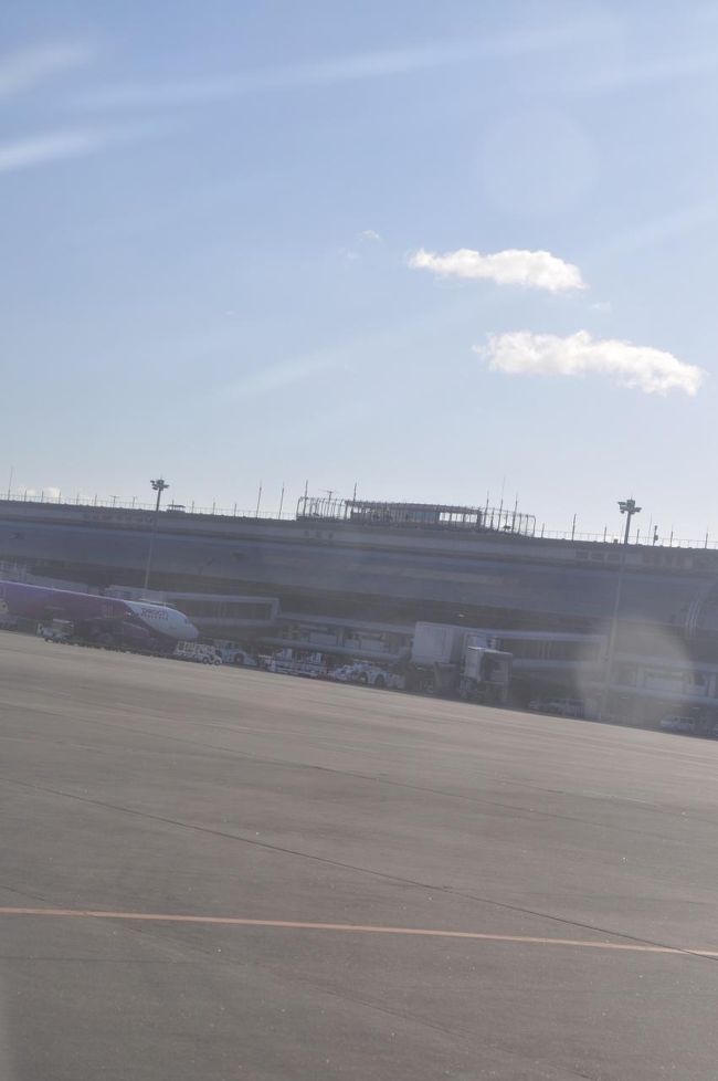 　ピーチ便が見えました。