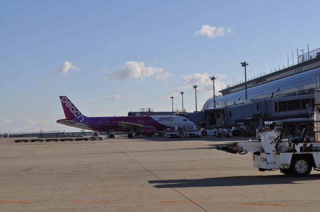 　さきほどのピーチです。