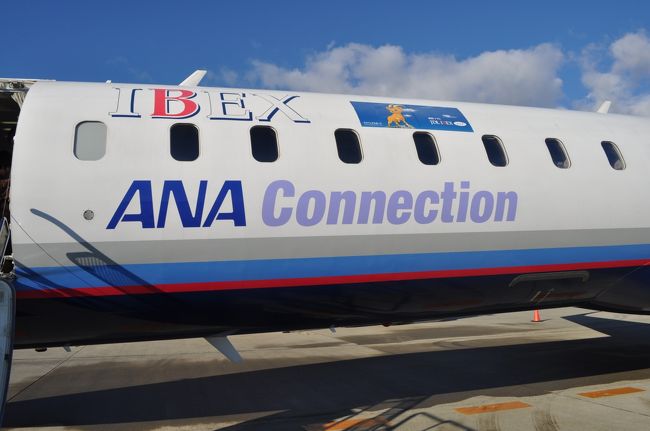 　IBEX<br />　ANA Connection