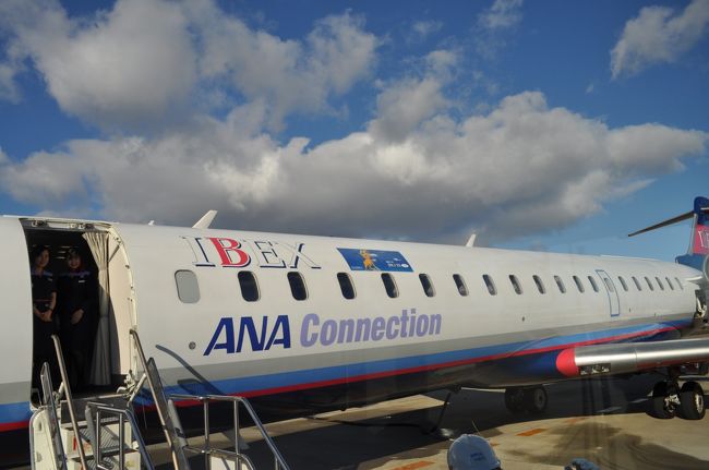 　帰りも同じ型の便です。