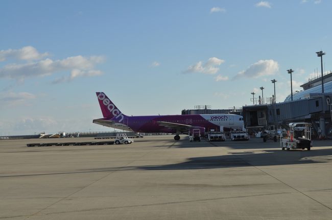 　このピーチは、折り返し関西空港行きです。