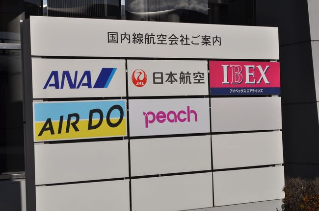 　国内線は5社乗り入れているようです。