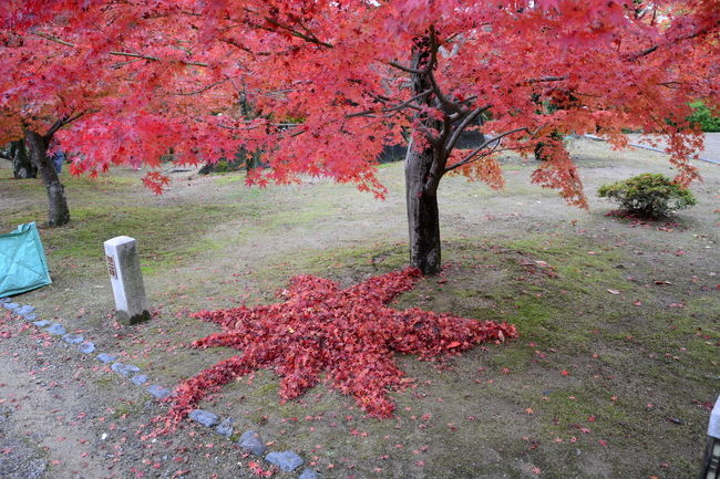 清掃をしていた雲水さんの作品？<br />特にこのマークに意味はありません