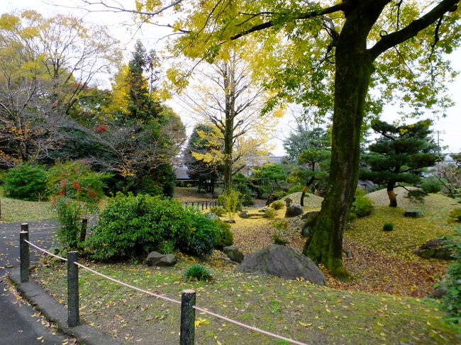 個人的に好きな枯山水庭園へ<br /><br />皆さんは紅葉に気を引かれてここにはほとんど誰も来ません