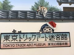 ちょいと遊んで帰りましょう。

外は寒いので向かうは【東京トリックアート迷宮館】

入場料900円でちょいと怯んだせこい私。