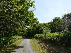 そして、中央の道をまっすぐ進むと木々の中に入る。
雲雀ヶ丘公園の敷地に入る。ここは自転車だと通れないところがある。