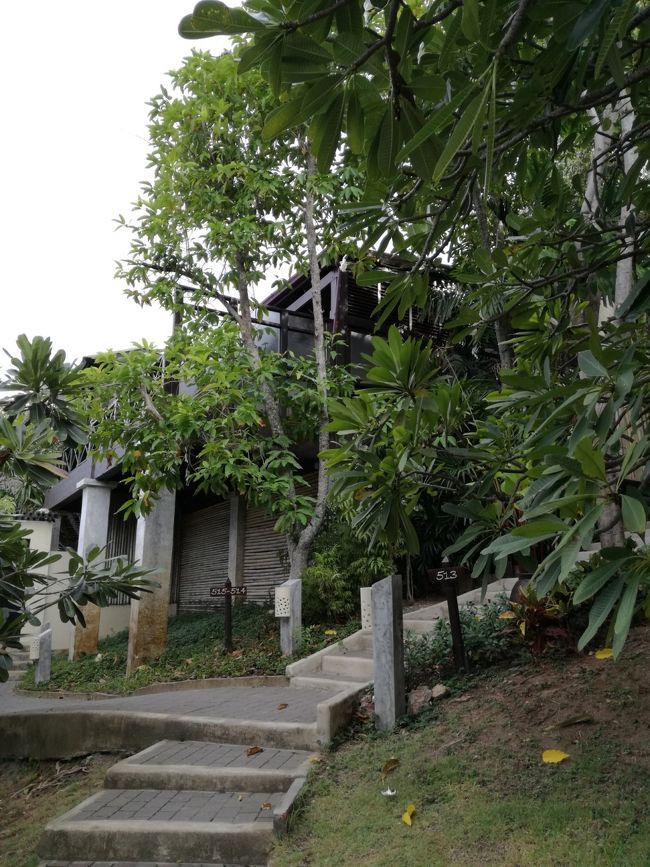 右が514号室。<br />私達が泊まる部屋はさらに奥です