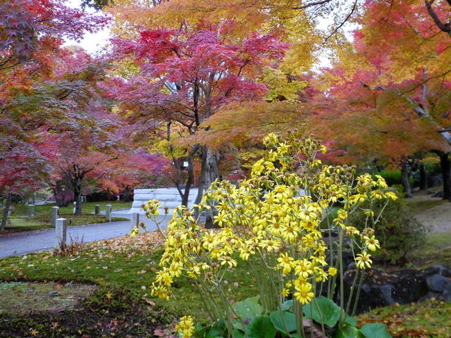 鐘楼へ向かいます