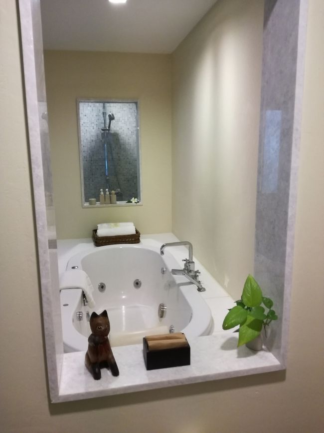 トイレの便座に座って右を見ると、バスタブです。ニャンコがじっと見てます。