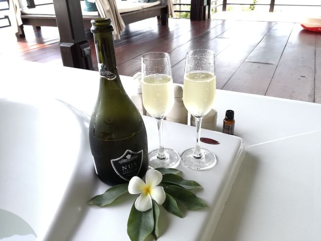 バスタブにつかり、スパークリングワイン。<br />結婚20年記念日と伝えてあったので、ホテルからのサービスでした！<br />ありがとう！