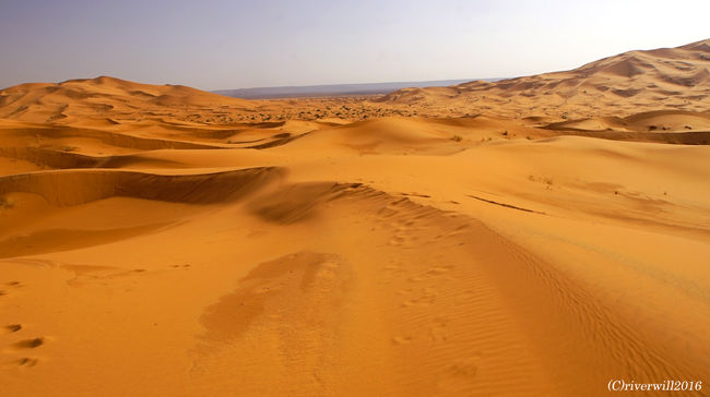 そうこうしているうちに、<br />いよいよ蜂蜜色の彼方に、ブラックデザートが見えてきました！