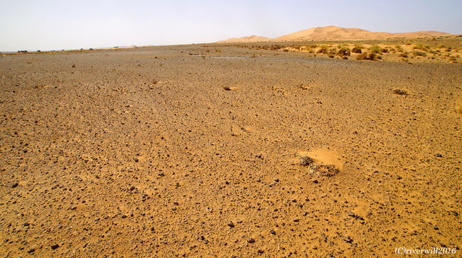 これがブラックデザート。<br /><br />砂漠というのは、本来、砂だけの世界の「砂丘」と「荒野」を合わせた言葉なんだそうです。<br /><br />この「荒野」にあたるブラックデザート。黒の小石や砂が広がります。