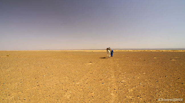 いよいよお尻が限界に来たので、いったん降ろしてもらいました…<br />