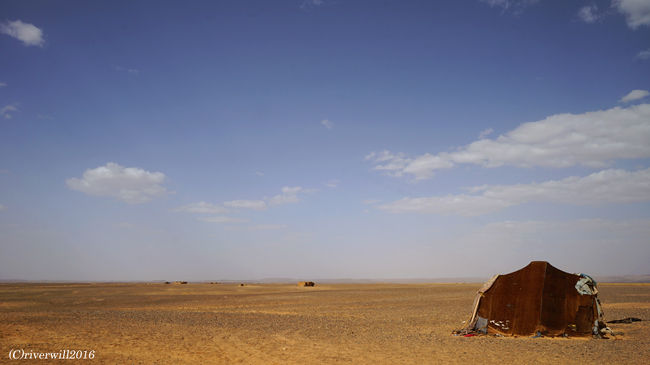 この風景、砂漠というか、モンゴル平原みたい。