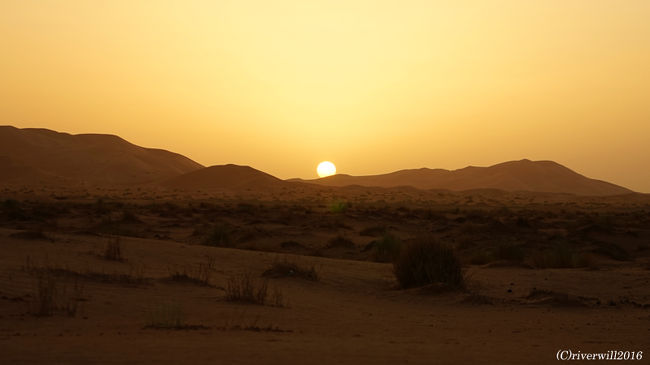 砂漠の夕焼け。<br />燃えるような真っ赤な太陽が砂丘の彼方に静かに消えていく・・・<br /><br />陽が落ちると当然辺りは真っ暗。<br />もしラクダ使いが一緒にいなかったら、確実に砂漠で迷子になっていました。