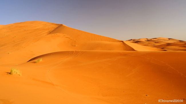 モロッコの砂漠は「モロッコの奇跡」と称されるほど美しい砂漠。<br /><br />オレンジともピンクともいえない蜂蜜色で、<br />シルクのような滑らかな曲線美が官能的、と言われています。