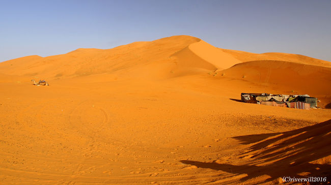 この周辺にはツアー会社他社のベースキャンプがたくさん設営されています。<br /><br />砂漠ツアーは大人気。