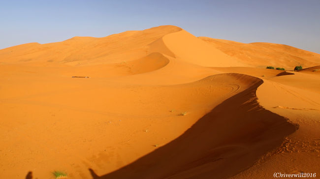 風雨が作った自然の造形美は、ため息が漏れるほど美しいです。