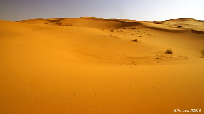 この、刻一刻と姿を変え、目印もなさそうなこの砂漠を、<br />砂漠の民のラクダ使いは迷うことなく突き進んでいきます。<br /><br />彼らの砂漠や空を読む匠のスキルには、ホントに脱帽です。