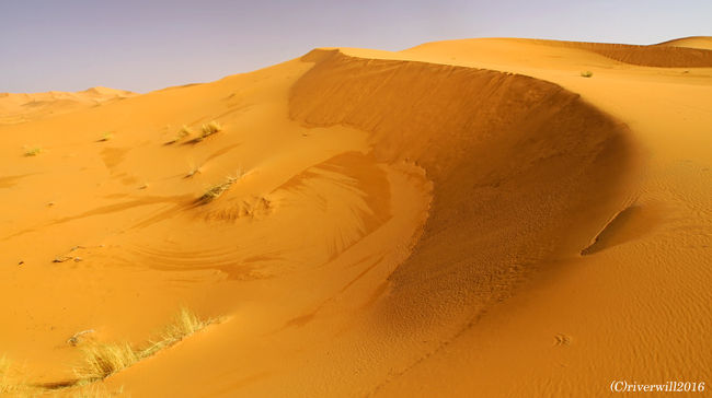 景色は最高なのですが、<br />ラクダの背は想像以上に揺れ、バランスをとるのが大変。<br /><br />お尻と股が床ずれのようになって擦れて悲鳴を上げ始めました。