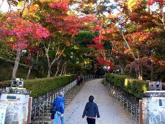 　松雲山荘(  http://www.tabinavi-kashiwazaki.com/special/koyo2012/kashiwazaki.php  )の駐車場に停め、紅葉し始めた山荘に入りました。