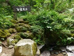 利尻山鴛泊登山コースの最初にして最後の水場、甘露泉水。
評判の水でぜひ飲んでみたいと思っていたが、想像していたのとちょっと違い水をすくうのが難しい。

水たまりからくみ上げれば簡単だけど土とかも入りそうだし、、、
おいしい水なのだろうけど、汲み方がわからなかったので今回は見送った。